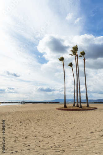 須磨の美しい海岸