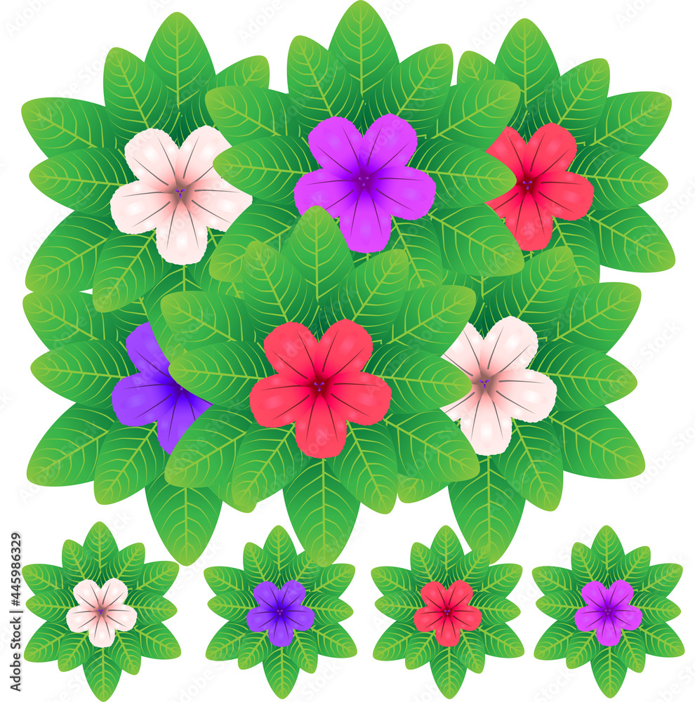 Set of vector compositions from Ruellia Tuberosa Flower. for wedding concept - flowers, Floral posters, vector arrangements for greeting card or invitation design, and other.