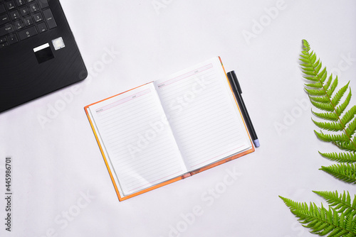 Office desk with notebook, pen and fern plant