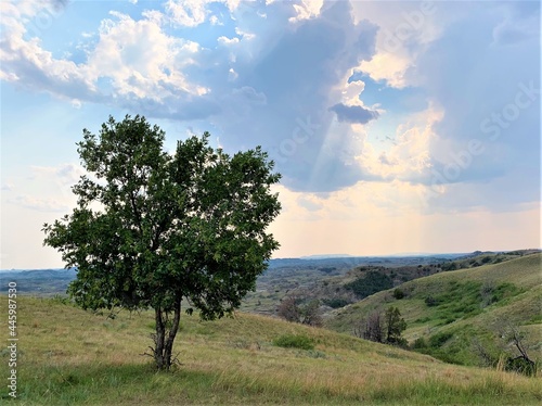 Landscape of the Beautiful Theodore Roosevelt National Park in North Dakota