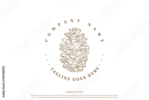 Rustic Hand Drawn Pine Cone Logo Design Vector