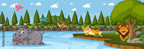 Photography Forest panorama at daytime scene with various wild animals