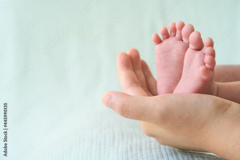 Newborn baby feet in mother's hands Newborn baby feet in mother's hands
