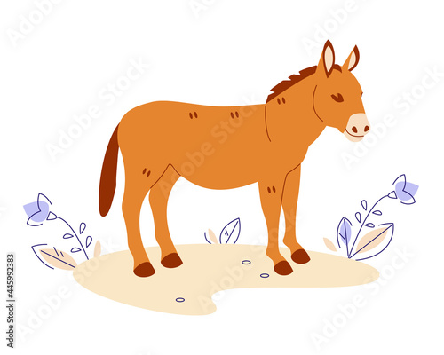 Donkey in the meadow. Vector illustration in flat cartoon style. Isolated on a white background.
