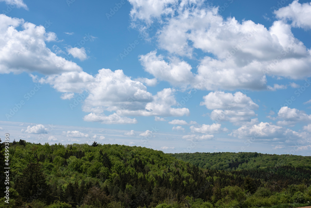 blue sky with white clouds over a hilly forest