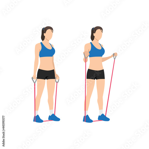 Woman doing Resistance band bicep curls exercise. Flat vector illustration isolated on white background photo