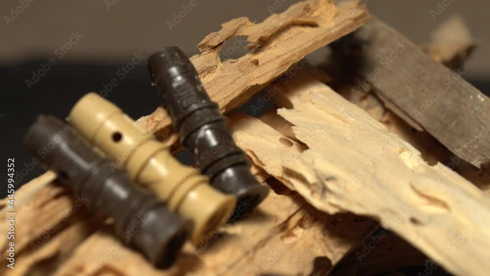 Injectors used For Wood Borer Prevention and Treatments, closeup of wood with insect damage, Injectors used For Wood Borer Prevention and Treatments, closeup of wood with insect damage,