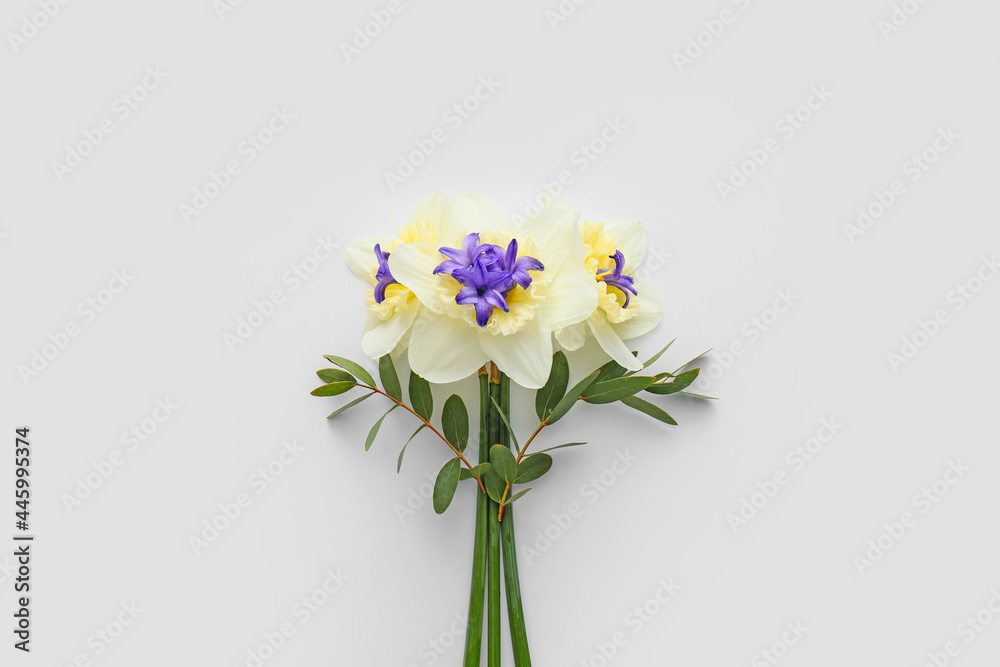 Beautiful composition with daffodils on white background