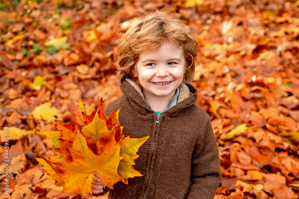 Child boy walking in the autumn park. Happy kid boy walking in autumn Park, beautiful child in warm jacket sweater on the autumn nature background. Child boy walking in the autumn park. Happy kid boy walking in autumn Park, beautiful child in warm jacket sweater on the autumn nature background.