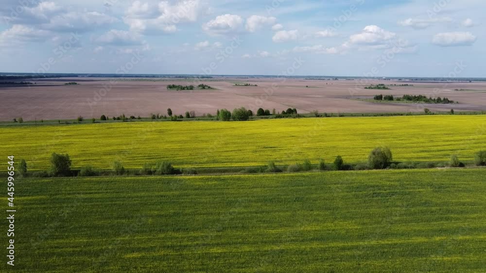 Fly over farm fields. Yellow rapeseed field near a plowed agricultural plot. Landscape, top view.
Fly over farm fields. Yellow rapeseed field near a plowed agricultural plot. Landscape, top view.