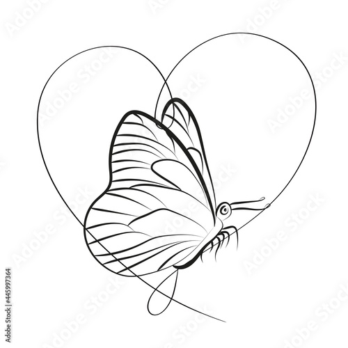 Elegant Outline butterfly with heart on white background.