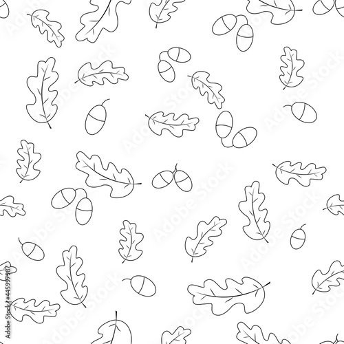 Seamless vector doodle leaves background. Black leaves on white background. Acorns  oak tree pattern. Monochrome doodle leaf print. Fall background  Thanksgiving  Seasonal print  November
