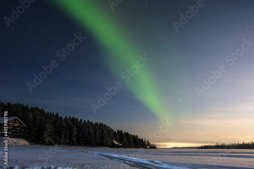 northern lights over the forest in winter