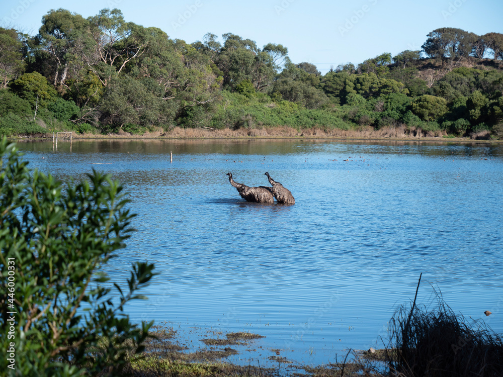 custom made wallpaper toronto digitaltropical island