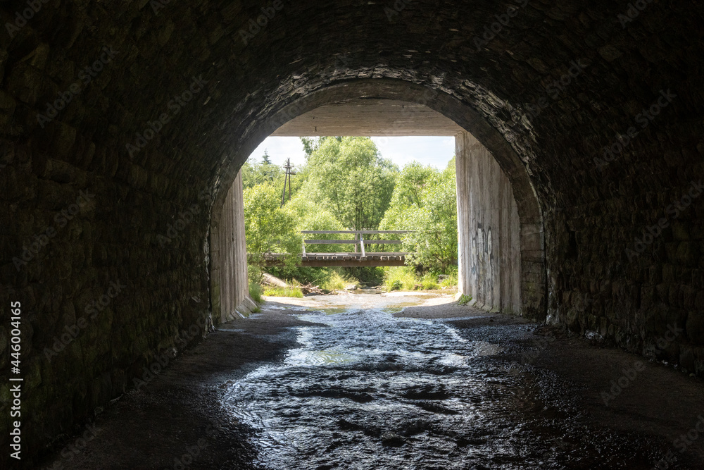 Tunnel with a river flowing in it and a bridge above it, which can be seen in the distance surrounded by dense greenery