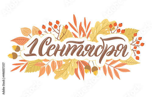 Back to school quotes in Russian. Hand-drawn lettering with decorative elements in trendy style. Cozy design for your projects. Russian translation September 1.