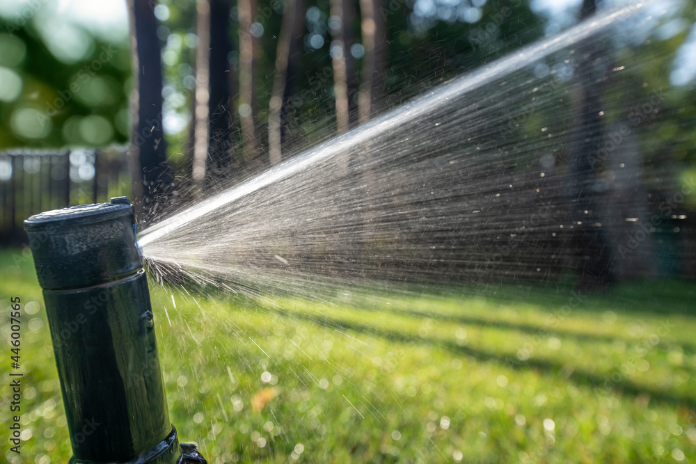 Nozzle of automatic lawn watering system, close-up. Nozzle of automatic lawn watering system, close-up.