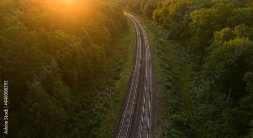 Empty railway track in the forest at sunset or dawn.