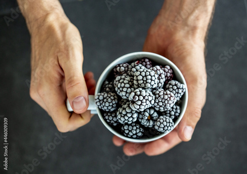 Frozen blackberries in a cup holding in two hands. White male with organic berries. photo