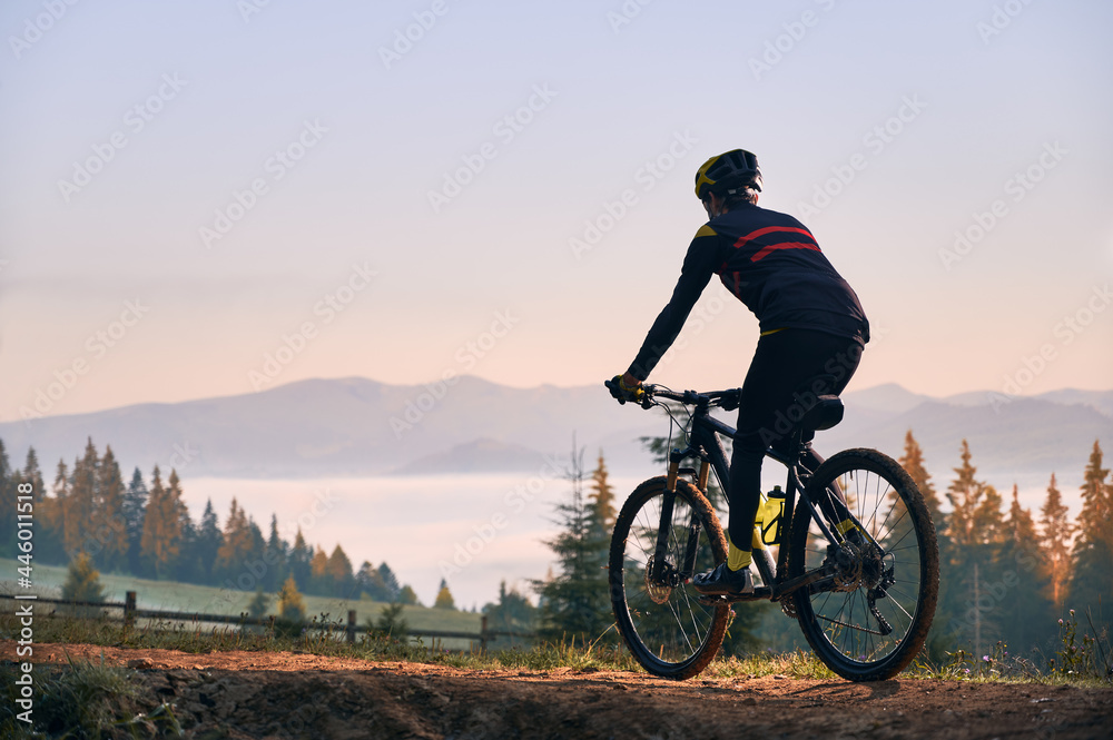 Silhouette of cyclist riding bike with coniferous trees and hills on background. Back view of man bicyclist enjoying bicycle ride in mountains in the morning. Concept of biking and active leisure.