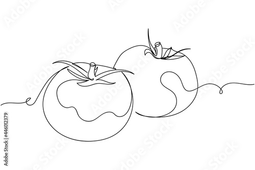 Continuous one line of tomatoes organic food in silhouette on a white background. Linear stylized.Minimalist.