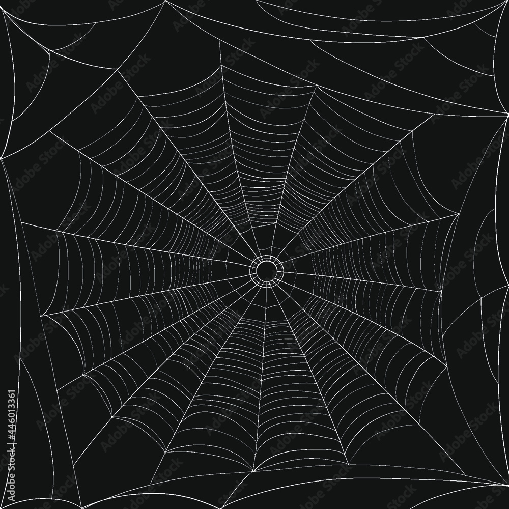 Vector illustration of spider web. Spider web texture as Halloween decoration template. Vector illustration of spider web. Spider web texture as Halloween decoration template.