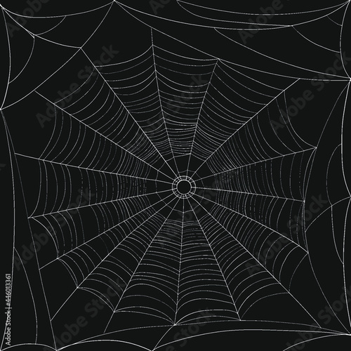 Vector illustration of spider web. Spider web texture as Halloween decoration template.