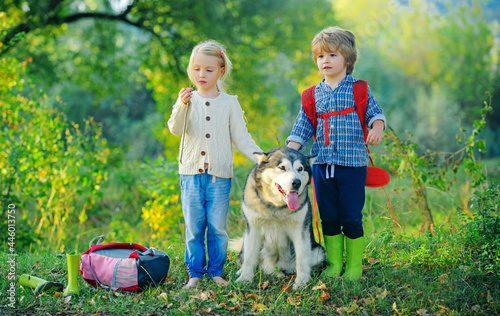 Young boy and little girl in a green field with his pet husky or malamute. Summer at countryside. Summer leisure. photo