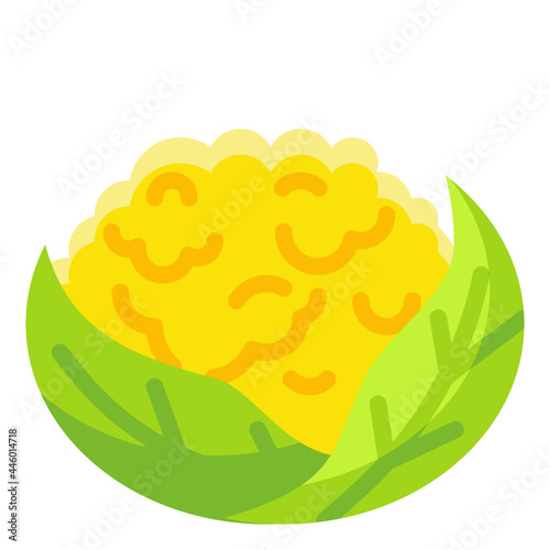 cauliflower flat icon