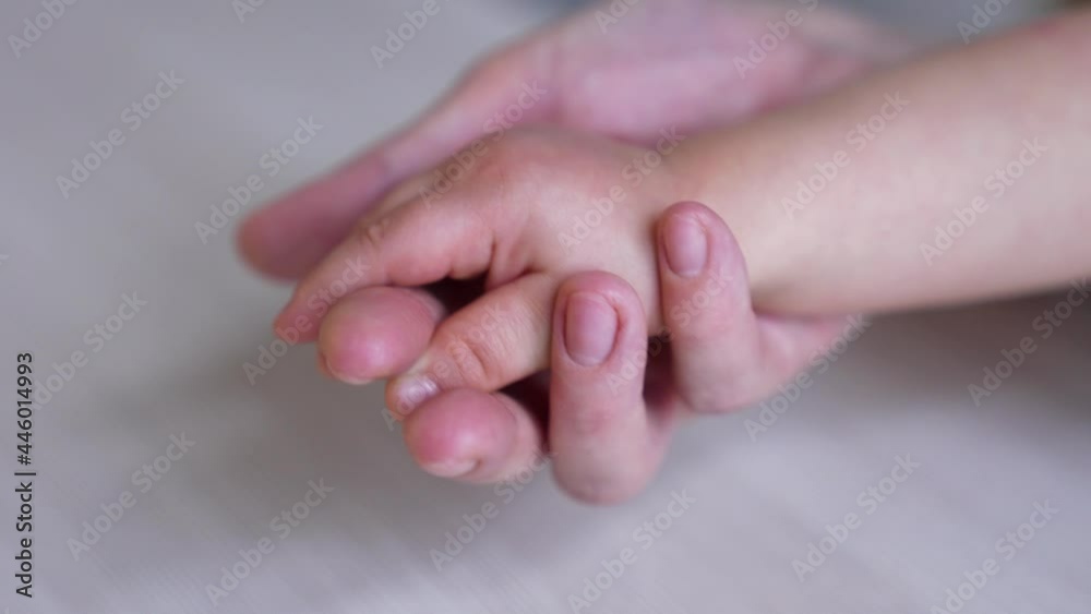 Happy family. Mom holds baby hand. Protected baby, mom is a helping hand. Happy family concept. Kid hand in mom hand. Family protection. Happy kid, cute family. Mother love and fidelity. Mother Day Happy family. Mom holds baby hand. Protected baby, mom is a helping hand. Happy family concept. Kid hand in mom hand. Family protection. Happy kid, cute family. Mother love and fidelity. Mother Day