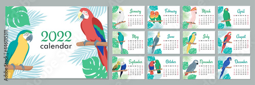 2022 calendar template. Calendar concept design with parrot. Week starts on Sunday. Set of 12 months 2022 pages. Vector illustration.