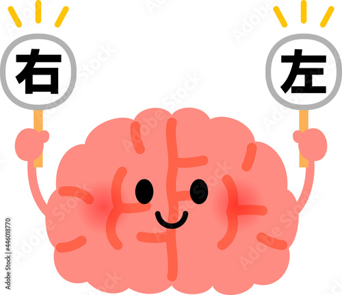 右、左の札を持った脳のキャラクター、右脳と左脳 photo
