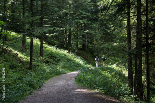 Couple de randonneurs promeneurs en forêt