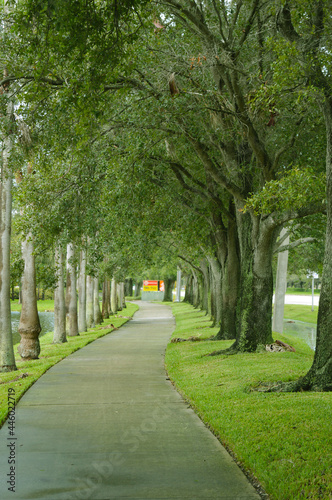 Green tree orchards alongside a pathway in a park of Fort Lauderdale, Florida, USA