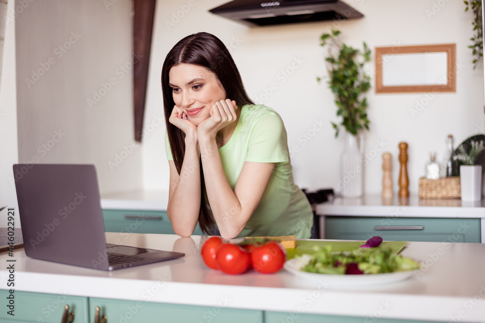 Photo of lovely long hairdo young lady look laptop cook at kitchen wear green t-shirt at home alone Photo of lovely long hairdo young lady look laptop cook at kitchen wear green t-shirt at home alone