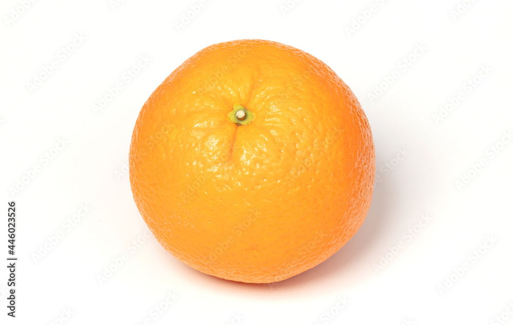 Large orange isolated Large orange isolated