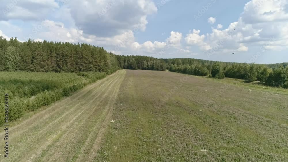 Drone view of two Combines harvesting on grass field. The harvesters putting the haylage on a trucks. Harvesters gathers the hay harvest. Near the forest and small pines
Drone view of two Combines harvesting on grass field. The harvesters putting the haylage on a trucks. Harvesters gathers the hay harvest. Near the forest and small pines