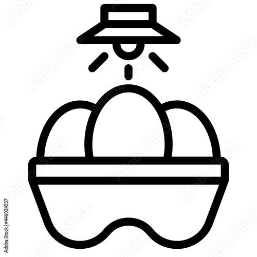 eggincubator