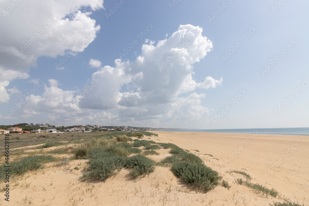 la bella playa de Mazagon,situada en la provincia de Huelva,España. Con sus dunas, vegetacion verde,llerva y un cielo con nubes