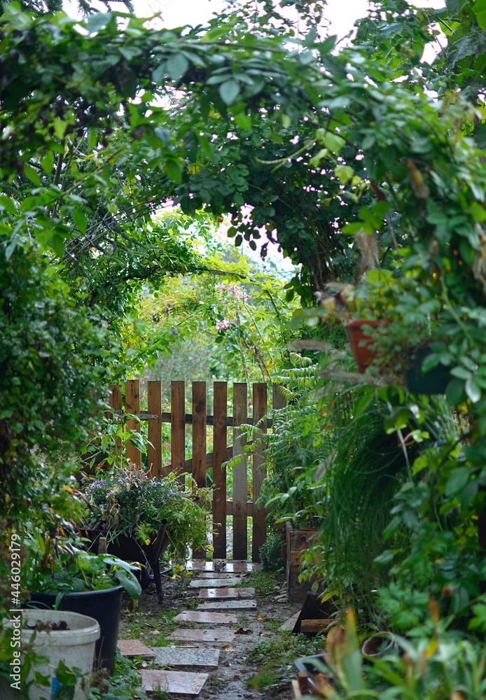 Romantic view of garden and old door Romantic view of garden and old door