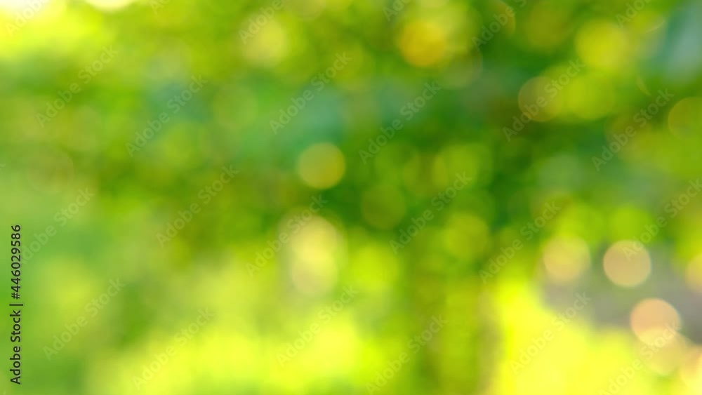 Nature abstract green and yellow gold bokeh blurred background,Sunlight shining to the leaves under the tree.Beautiful nature bokeh background of blurry sunset landscape and defocused round particles Nature abstract green and yellow gold bokeh blurred background,Sunlight shining to the leaves under the tree.Beautiful nature bokeh background of blurry sunset landscape and defocused round particles