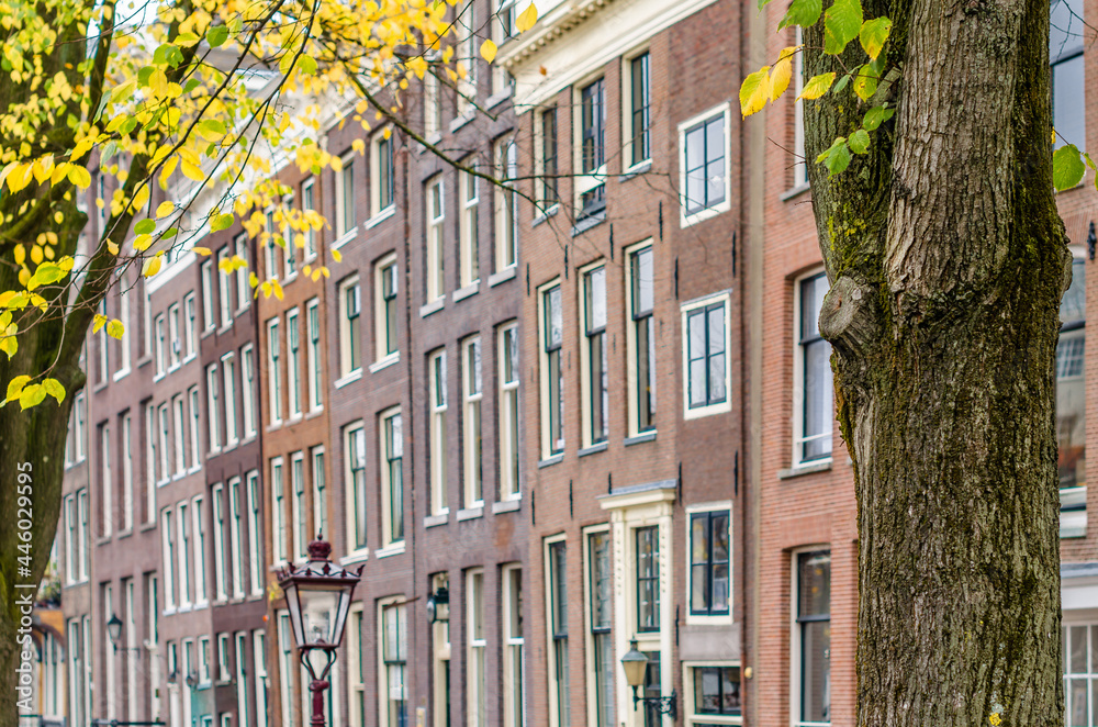 Fototapeta premium Architectural detail in Amsterdam, the Netherlands