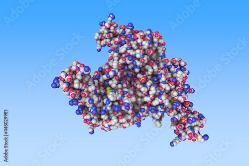 Fototapeta Naklejka Na Ścianę i Meble -  Human mesotrypsin in a complex with bovine pancreatic trypsin inhibitor. Scientific background. 3d illustration 