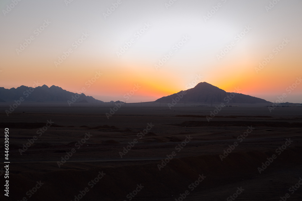 Beautiful Dawn in the Desert