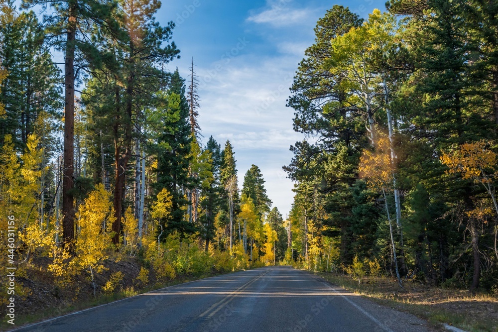 Fototapeta premium A long way down the road going to Grand Canyon National Park, Arizona