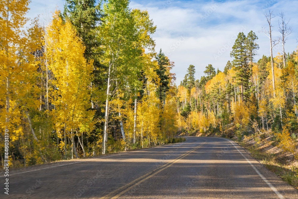 A long way down the road going to Grand Canyon National Park, Arizona A long way down the road going to Grand Canyon National Park, Arizona