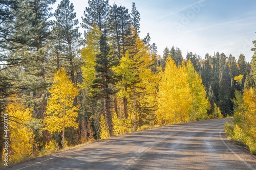 A long way down the road going to Grand Canyon National Park  Arizona