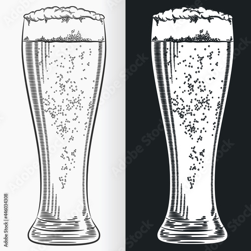 Sketch Tall Pilsner Beer Glass Doodle Isolated Line Drawing