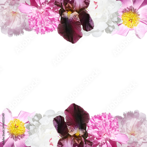 Beautiful floral frame of peonies and iris. Isolated