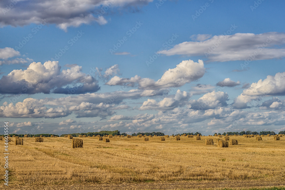Haystack harvest summer field landscape. Haystack agriculture field landscape. Agriculture field haystacks. Haystack harvest summer field landscape. Haystack agriculture field landscape. Agriculture field haystacks.